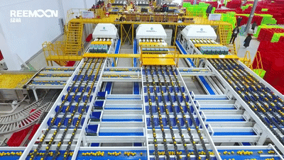 1636362152150700.gif 微信圖片_20211108170215.gif