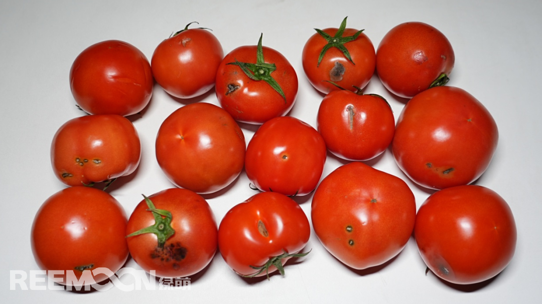 1711087329131425.jpg 1710570598967.jpg