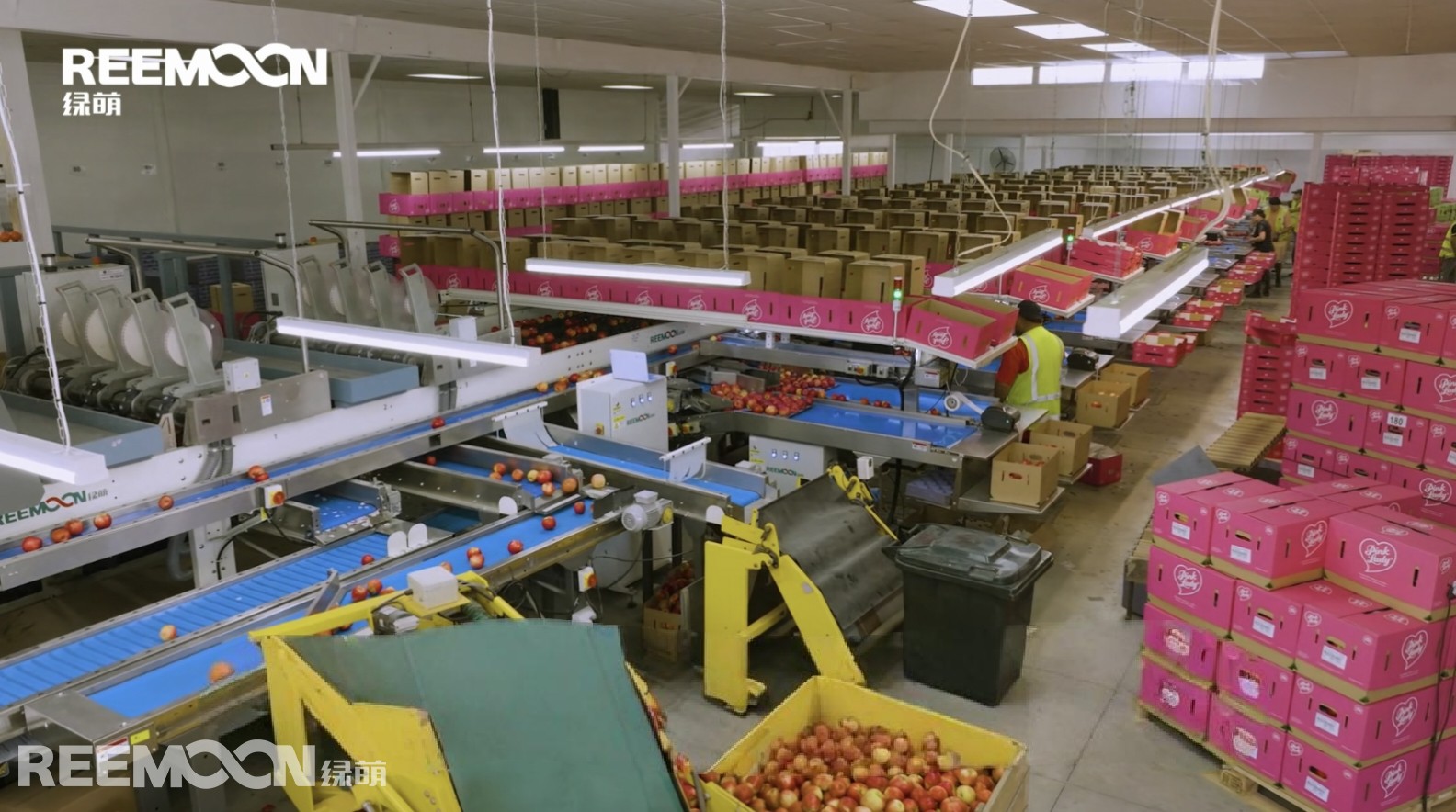 1758248244136136.jpg 微信圖片_20250828104636.jpg