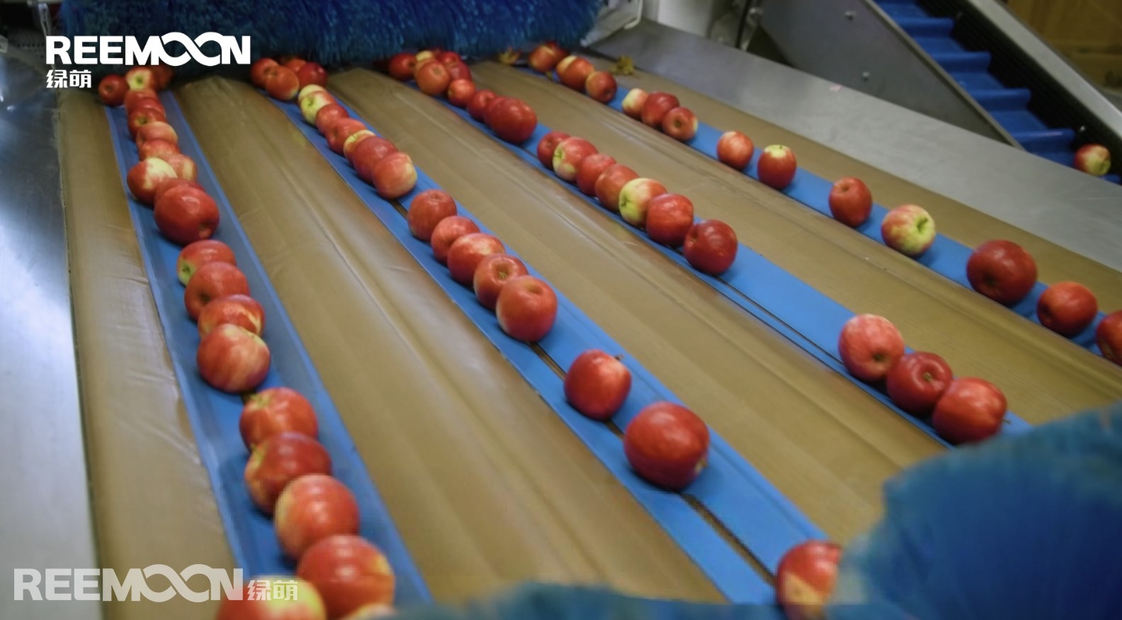 1758248264498208.jpg 微信圖片_20250828104640.jpg