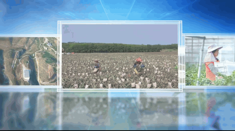 1764670972124604.gif 果蔬豐收.gif