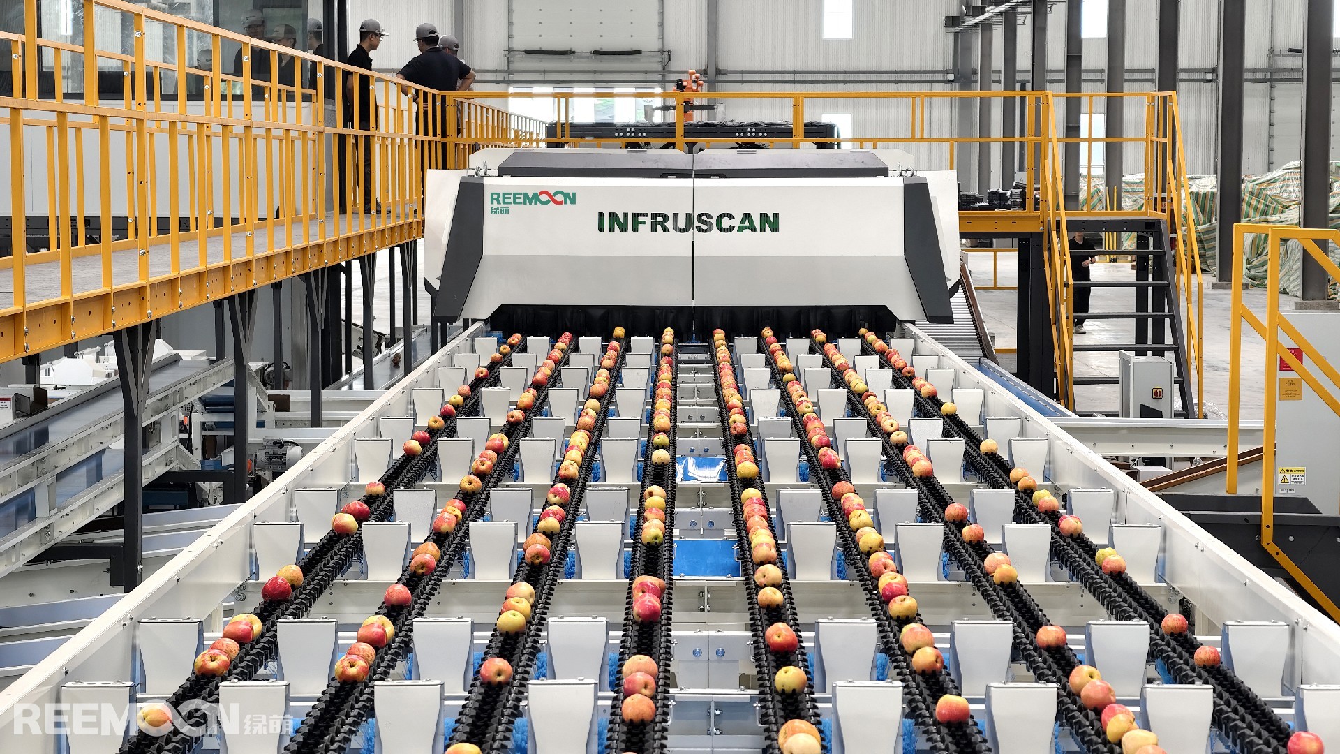 1764729181206746.jpg 蘋(píng)果八通道分選線.jpg